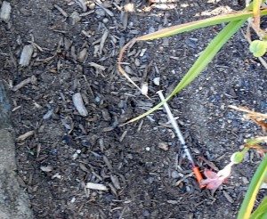 Photo QQ Citizen Journalist and concerned congregate 