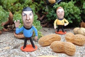 CDATA[![Painter of Nuts