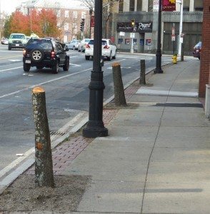 quincy-chain-saw-massacre-qq-photo | Quincy News About Quincy Massachusetts