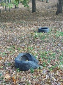 Triple E mosquito havens next to new playground