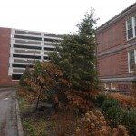 SIdeways again - a Quincy Quarry News photo | Quincy News About Quincy Massachusetts SIdeways again - a Quincy Quarry News photo