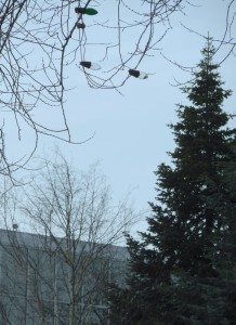 christmas-lights-still-out-1