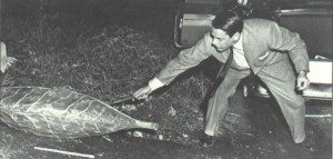 Pods Invade Parking Space<br /> Allied Artists Picture Corporation