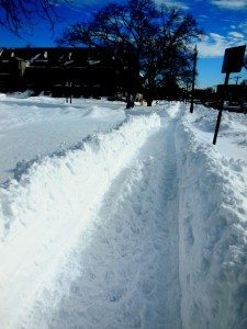 snow-job-library-1-28-3<br />