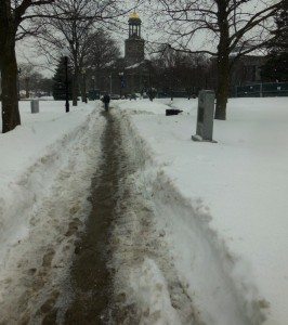 All too typical single track goat path for City Hall non-VIP's