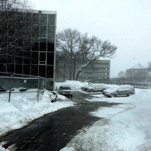 city-hall-vip-parking-2-2-2015-2