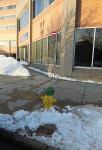 A well-cleared fire hydrant  A Quincy Quarry News phot