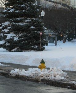 Dug out City Hall fire hydrant  A Quincy Quarry News photo