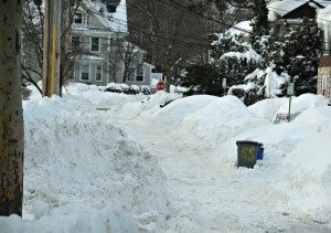 CDATA[
– News about Quincy MA from Quincy Quarry News
Quincy supermarkets report that they are ready for the next storm.
After back to back to back as well as soon back for even more both record and back-breaking snowstorms, local supermarkets have had plenty of experience coping this winter.
Amazingly, most markets reported having more than sufficient supplies of bread and milk on hand, although one reported that its rice selection was a bit thinner than usual.
![Quincy goat path 1 | Quincy News About Quincy Massachusetts | Quincy Ma Typical quincy residential neighborhood goat patha quincy quarry news dog sled team photo