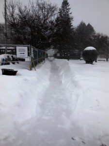 City Hall Entrance cleared at dawn A Quincy Quarry News photo
