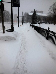 snow-job-city-hall-2-2-2014-2