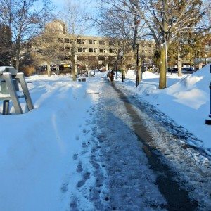Commuter icy goat trailA Quincy Quarry News photo