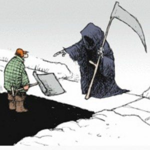 Non Sequitur cartoon image by Wiley Miller