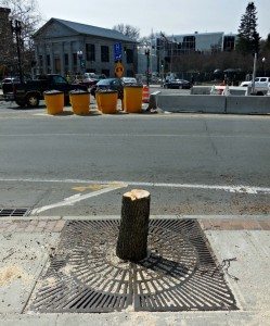 Chain saw victimA Quincy Quarry News photo