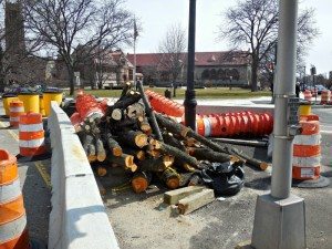 Chain saw victims piled up like cordA Quincy Quarry News photo 
