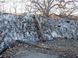 pageant-field-damage-3-31-2015-4