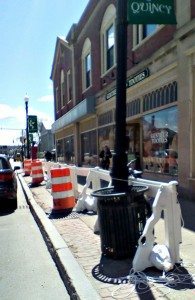 Chainsawed trees covered up and street parking goneA Quincy Quarry New photo