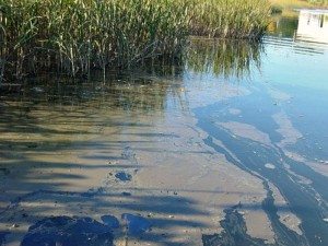 DPW-sludge-slick-laura-innis-photo | Quincy News About Quincy Massachusetts DPW-sludge-slick-laura-innis-photo