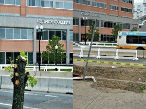 chain-saw-victim-before-and-after