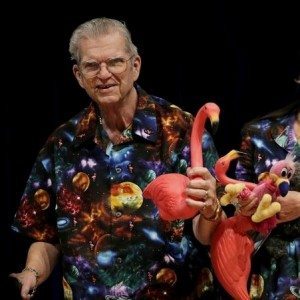 CDATA[![pink-flamingos | Quincy News About Quincy Massachusetts pink-flamingos