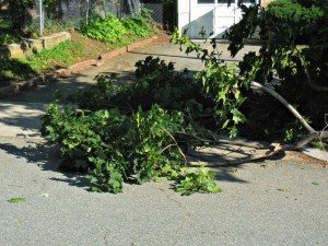 Disabled access way disabledA Quincy Quarry News photo