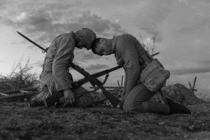 Photo by Matt Nettheim