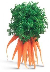 CarrotsA GoFor2and5.com.au image