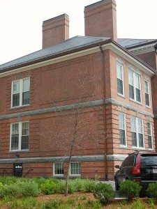 coddington-tree-dead-and-sideways | Quincy News About Quincy Massachusetts coddington-tree-dead-and-sideways