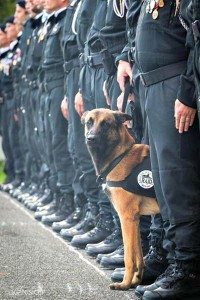 DieselA French National Police photo