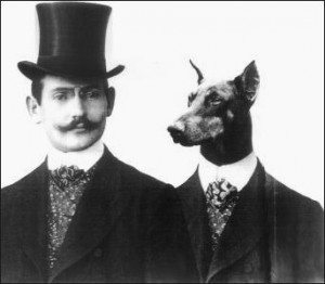 tax collectors cometh-herr-doberman