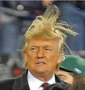 Trump-wild-hair-image-from-fark.com-2