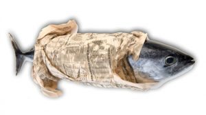 fishwrap-4 | Quincy News About Quincy Massachusetts