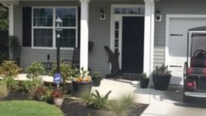 Alligator-Doorbell