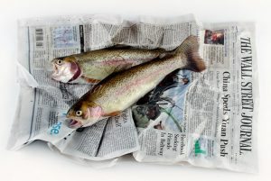 fishwrap-7-4x6 | Quincy News About Quincy Massachusetts fishwrap-7-4x6