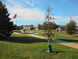 merrymount-fountain-fatality-4x6