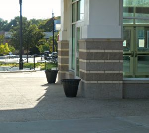 central-middle-dead-trees-gone-1125