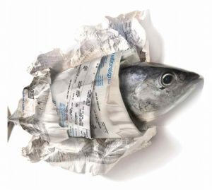 fishwrap-2-1125- | Quincy News About Quincy Massachusetts fishwrap-2-1125-