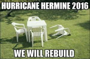 Put another shrimp on the barbie mate A meme image