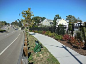 water-bag-but-no-tree-8x6 | Quincy News About Quincy Massachusetts water-bag-but-no-tree-8x6