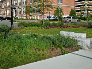 quincy-high-no-spring-cleaning-2 | Quincy News About Quincy Massachusetts