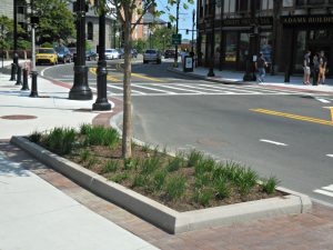 Hancock-misalignment-weeds-be-gone-1 | Quincy News About Quincy Massachusetts