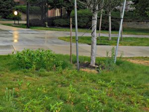 hancock-misalignmen-july-2017-3 | Quincy News About Quincy Massachusetts