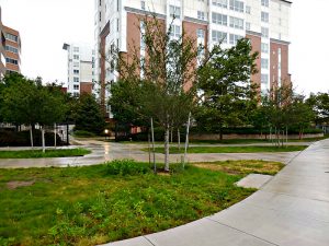 hancock-misalignmen-july-2017-4 | Quincy News About Quincy Massachusetts