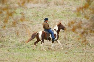 moore-riding-off-Luke-Sharrett-Bloomberg-via-Getty-Images | Quincy News About Quincy Massachusetts