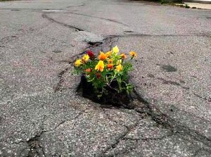 Philip-Dubley-Turner-St-area-in-the-Neck | Quincy News About Quincy Massachusetts