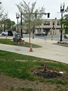Quincy-center-tree-replacment-june-2018-1 | Quincy News About Quincy Massachusetts