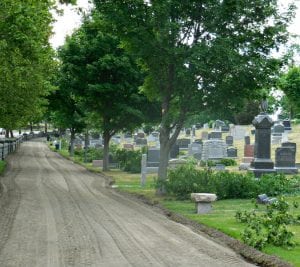 mt-wollaston-chainsaw-june-2018-1125-2 | Quincy News About Quincy Massachusetts