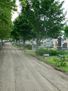 mt-wollaston-chainsaw-june-2018-5 | Quincy News About Quincy Massachusetts