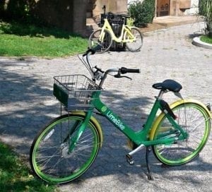 8-6-2018-Lime-ofo-Bikes-1125 | Quincy News About Quincy Massachusetts