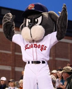 seadogs-portland-team-image | Quincy News About Quincy Massachusetts